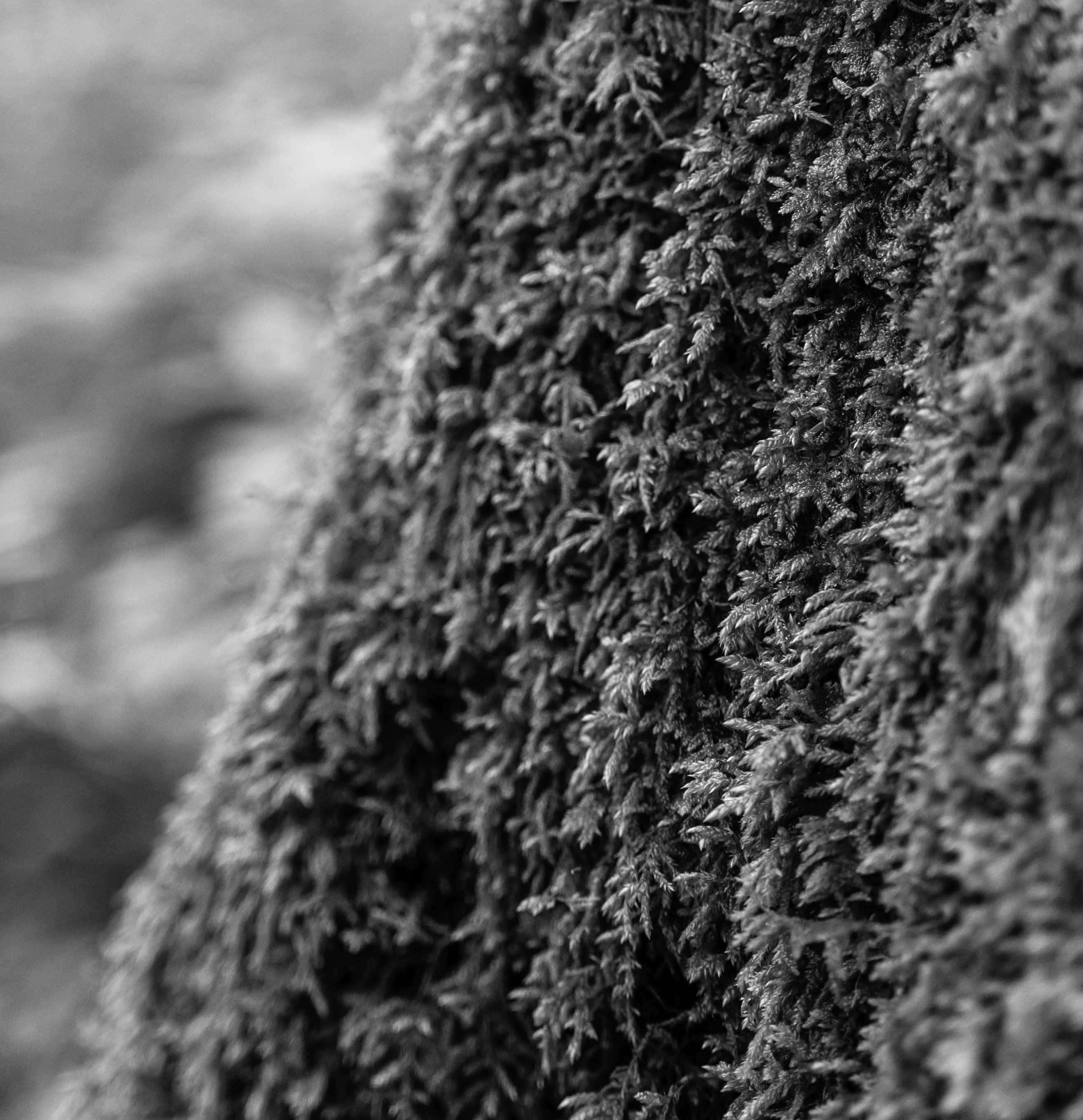 亚洲国产精品成人综合久久久