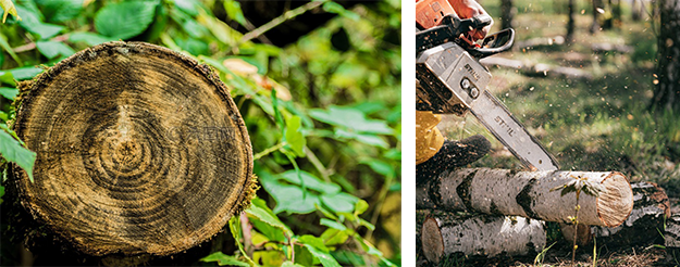 亚洲国产精品成人综合久久久