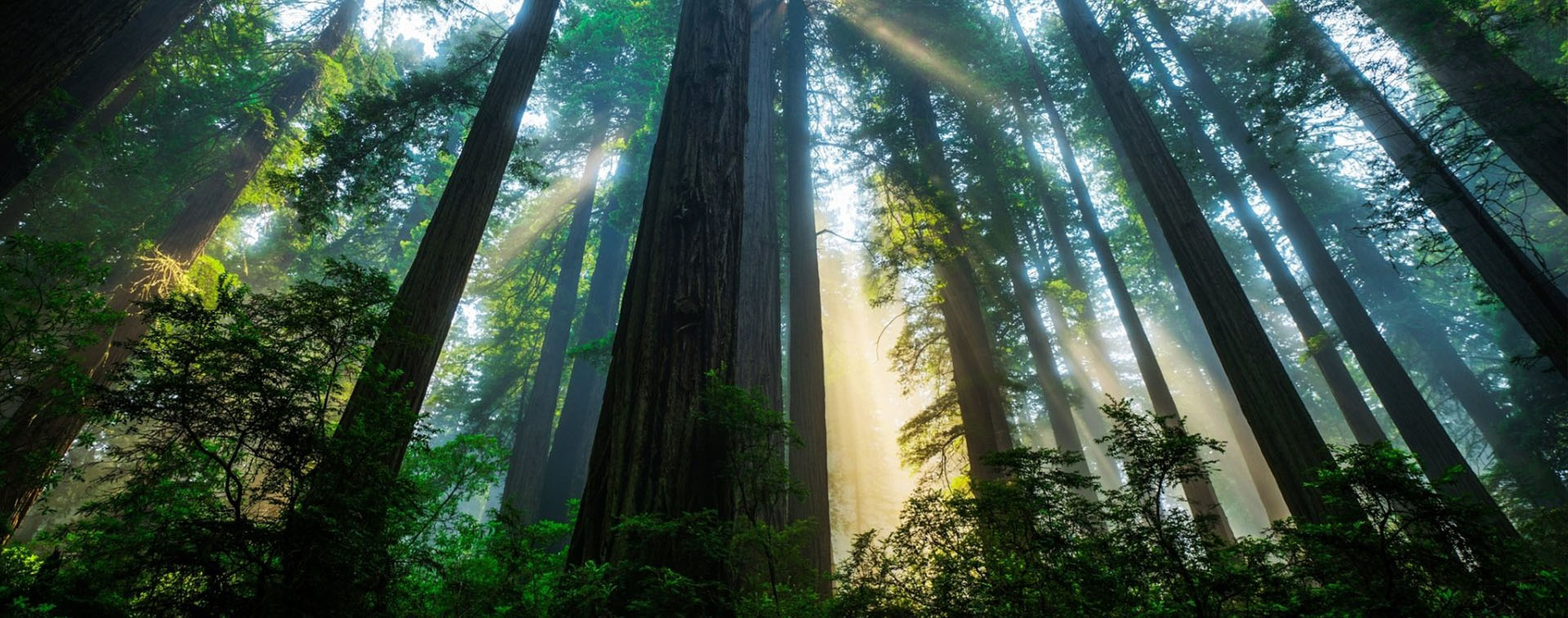 亚洲国产精品成人综合久久久